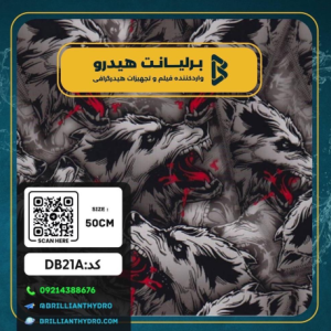 فیلم هیدروگرافی طرح دیزاین
